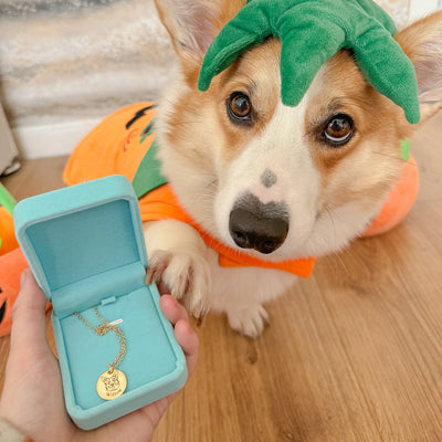 Pet Face Necklace